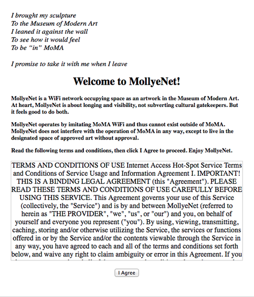 Screenshot of captive portal text.