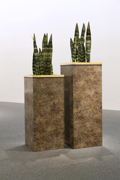 sculpture, nature