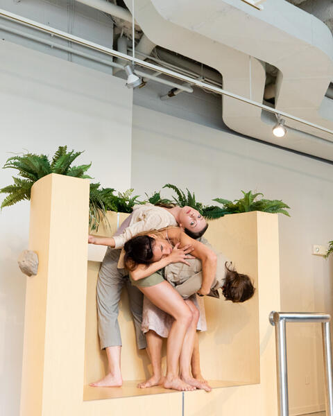 sculpture, installation, dance 