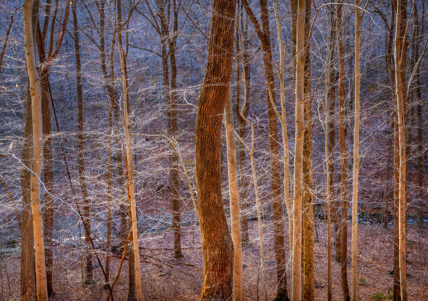 Winter of Discontent