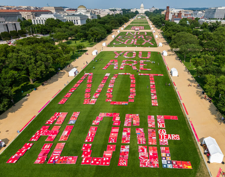 The Monument Quilt blanketing then National Mall with 3,000 stories from survivors of sexual and intimate partner violence, May 31-June 2, 2019.