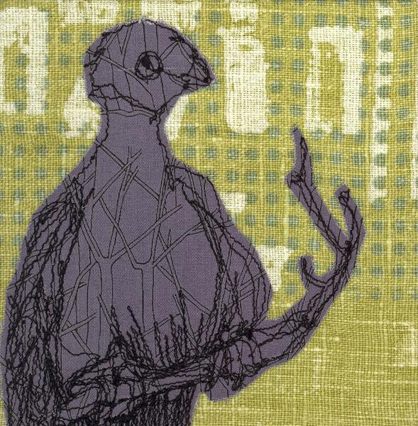 Red Billed Pigeon