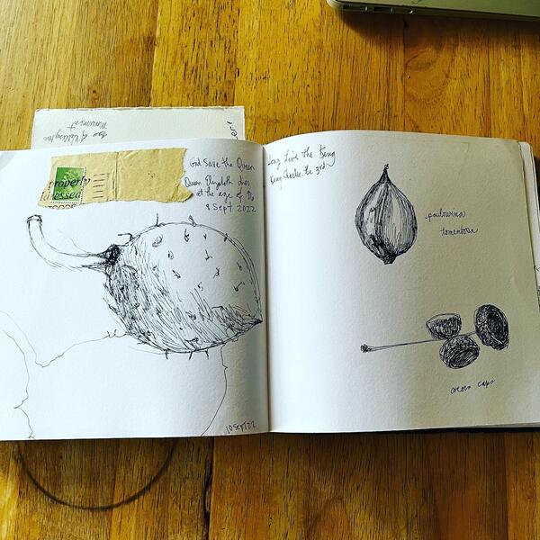sketchbook view