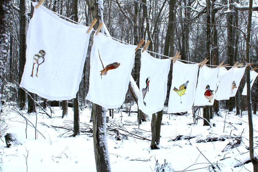 fiber art, hand embroidery, art installation. climate change, birds 