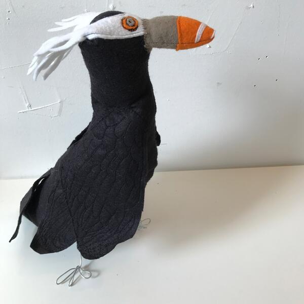 Puffin