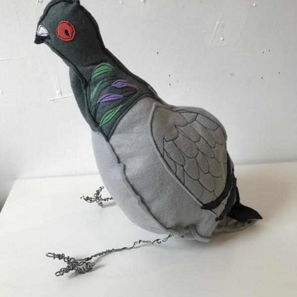 Pigeon