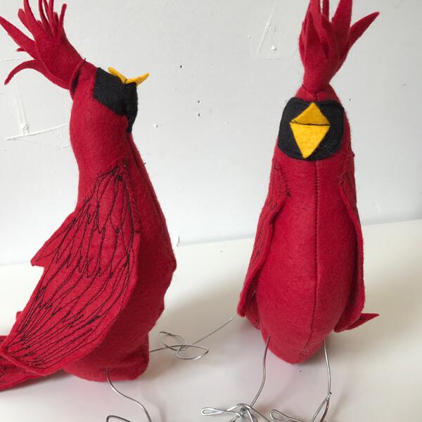 Cardinals