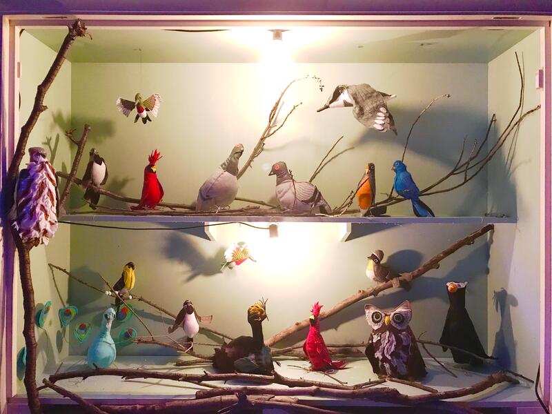 Not for the Shooting Gallery 