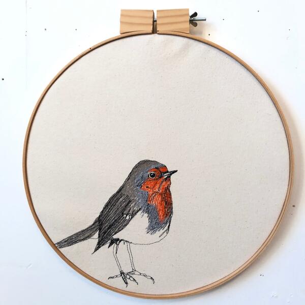 European robin , 2020