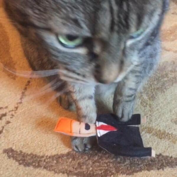 Lucyfur and her Trump catnip toy