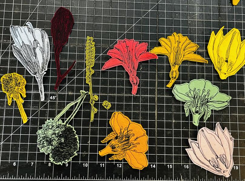 Freehand machine Stitched seeds and pollinators 