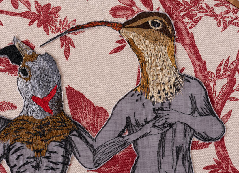 Curlew detail 