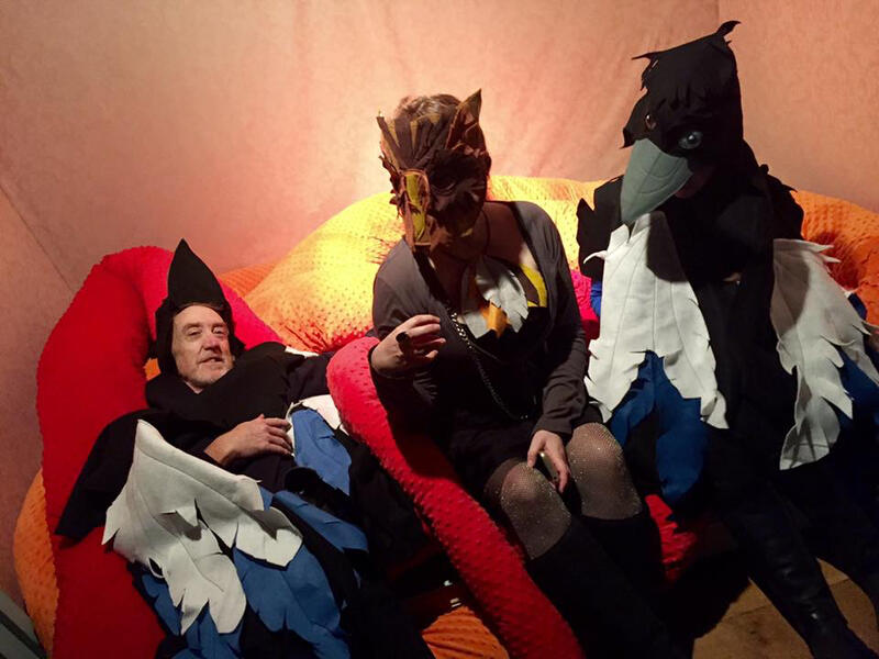 Magpie costumes and Owl mask