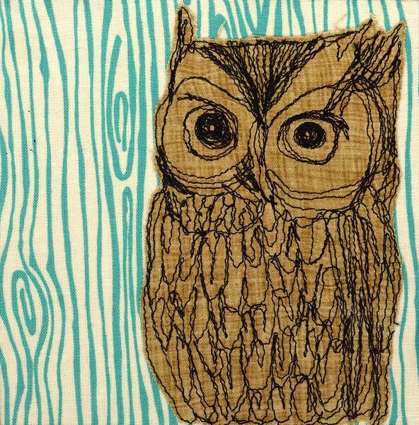  Eastern Screech Owl