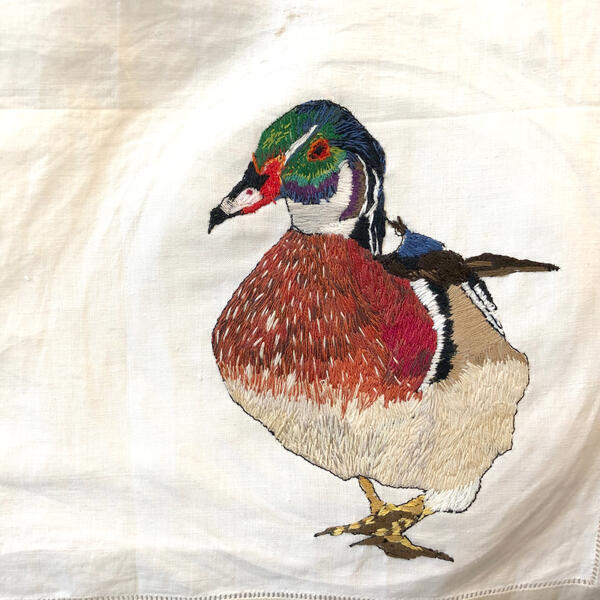 Hanging Them Out to Dry, wood duck , 2019
