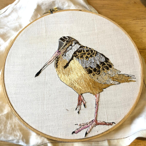Hanging them out to Dry, woodcock, 2019