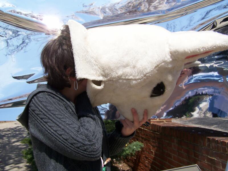 Be The White Rabbit, 2009