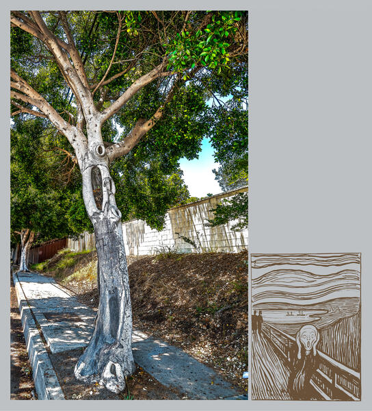 The Scream after Edvard Munch (Tree, Los Angeles)