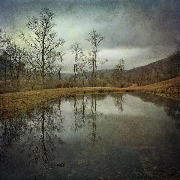 Along The Pond
