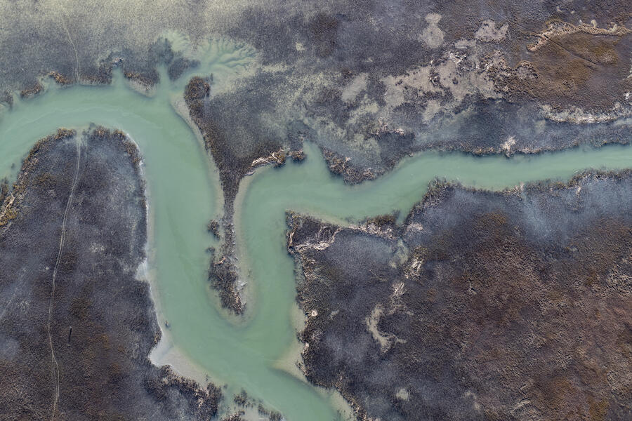 Eastern Shore Turquoise Marsh 1.jpg