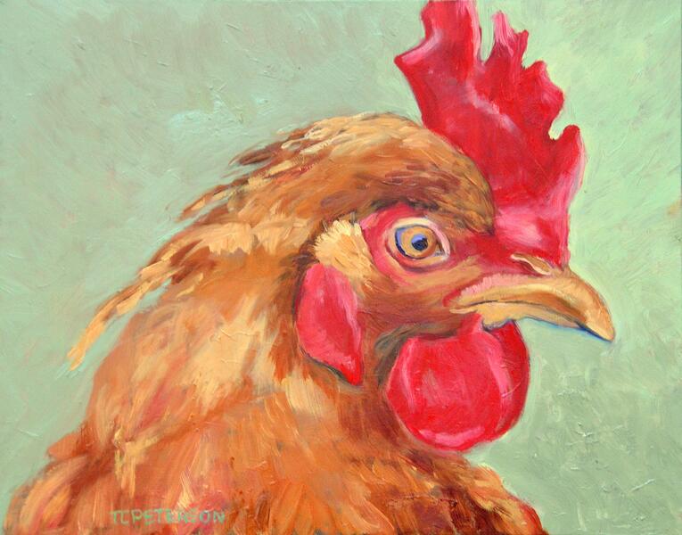 Portrait of a Rooster