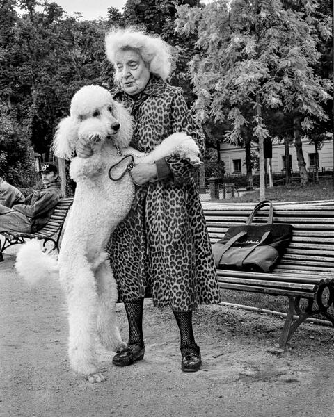 Parisian With Poodle