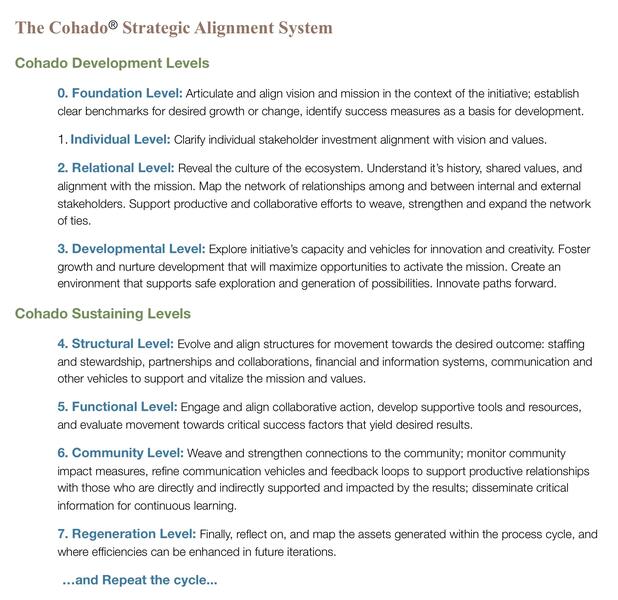 Cohado Strategic Alignment  Page 2