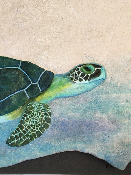 Sea Turtle detail