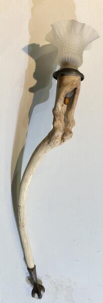 Ambergris, 32x9x6", Tree limb, glass, piano stool foot, hardware, paint