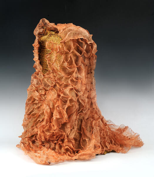 The Shroud Front View 2.jpg