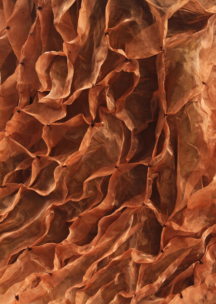 The Shroud detail.jpg