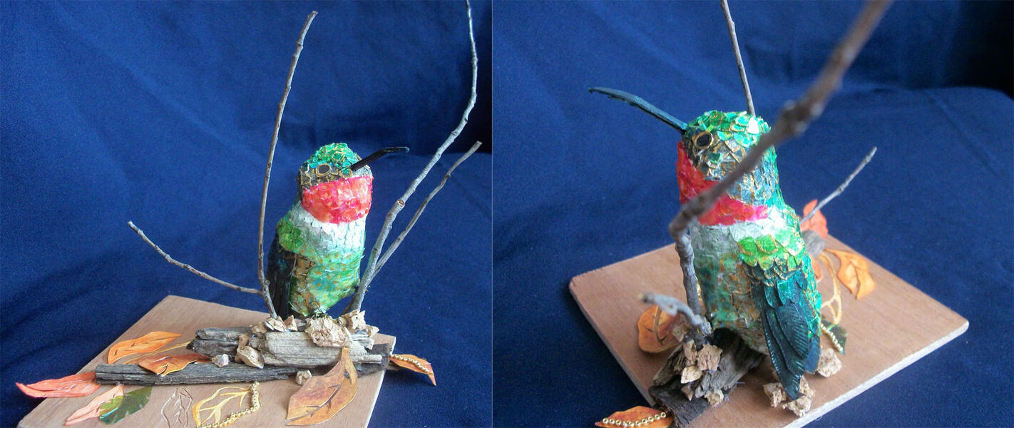 Male Ruby-throated Hummingbird 