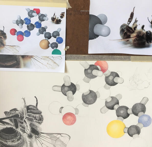 Dead Bees and Neonicotinoid Molecule (In Progress)
