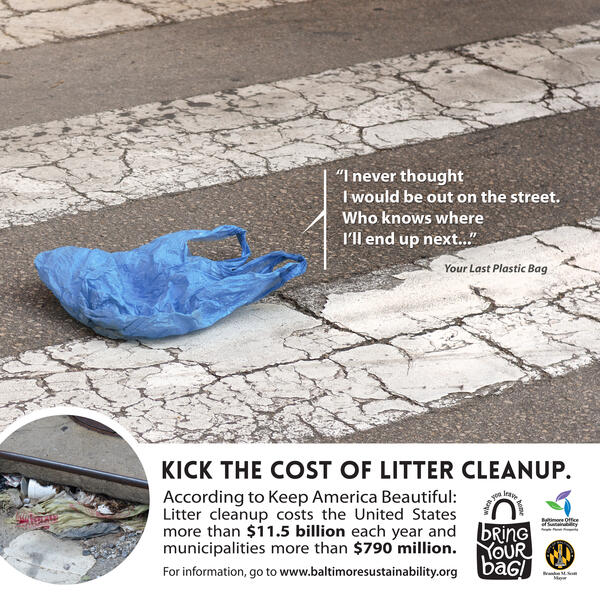 Bag Ban Campaign -On the Street