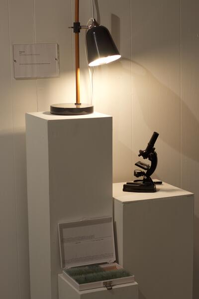 toy microscope with box of slides (installation)
