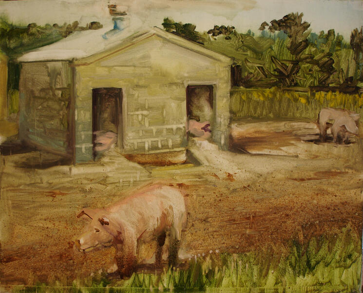 Pig farm.jpg