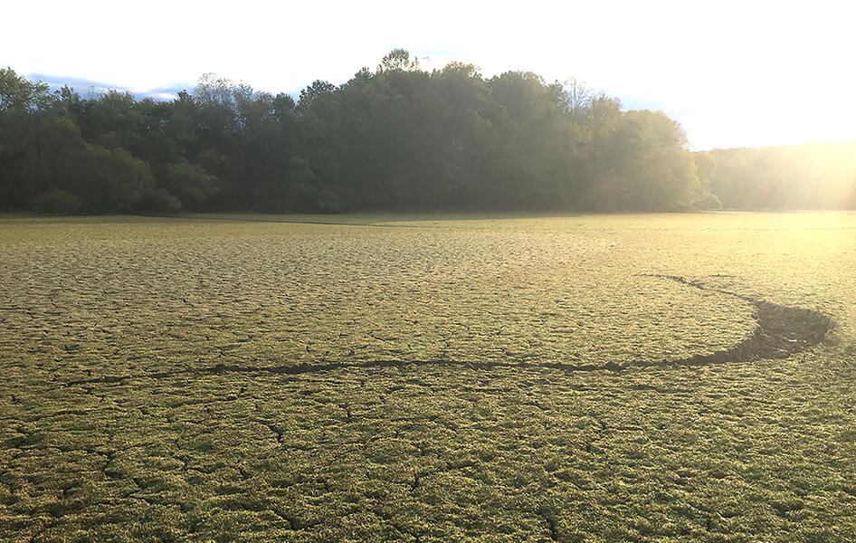 land art, environmental art