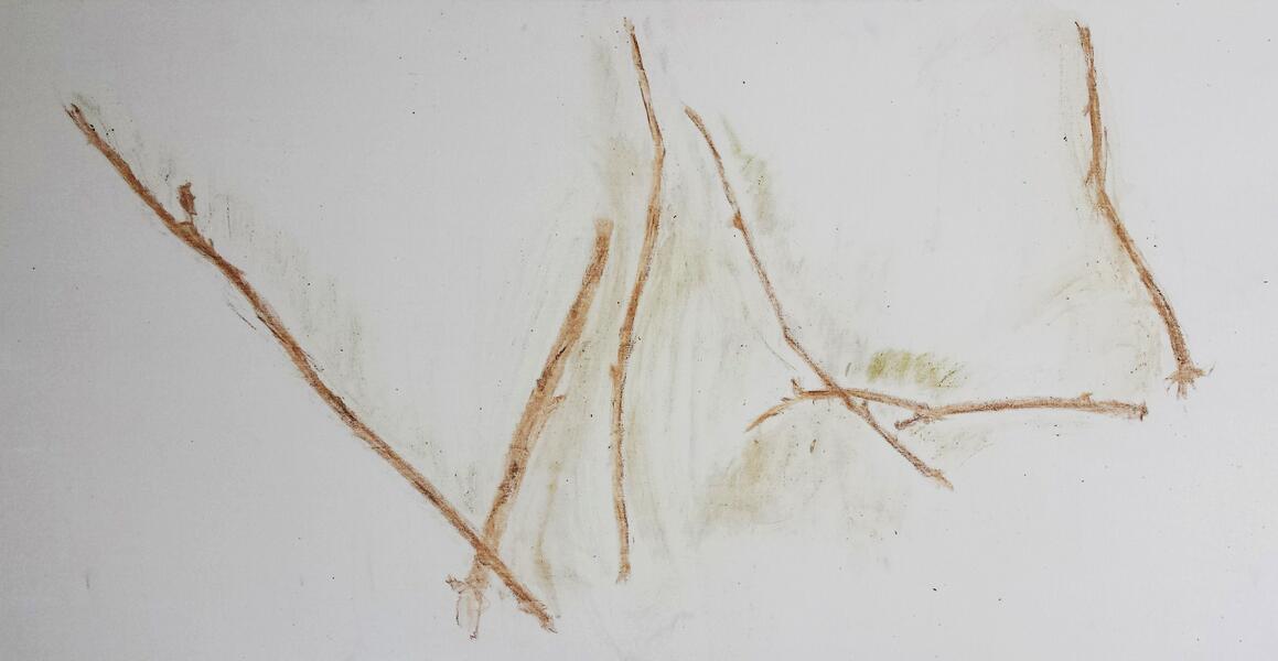 twig1.jpg