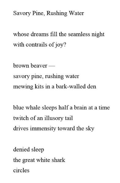 Poem by Patricia Wentzel, Savory Pine, Rushing Waterwas the inspiration for my visual response
