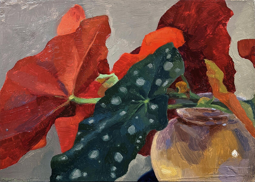 small horizontal oil painting of polka dot begonias with grey background