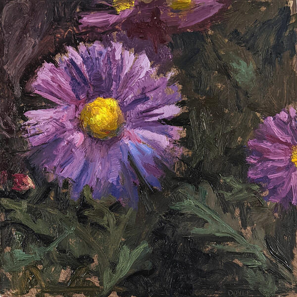 "Asters May 12", 2022, oil on panel, 6" x 6"; small painting of purple asters