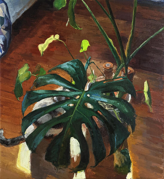 "Canopy", 2022, oil on linen, 21" x 19"; monstera, sunlight, and cat