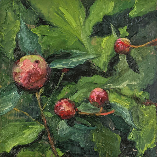 "Peony May 18", 2022, oil on panel, 8" x 8"; small painting of peony buds