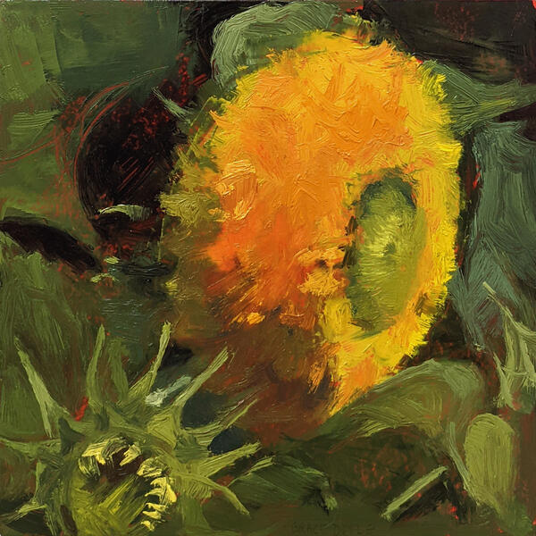 "Sunflower August 2", 2021, oil on panel, 6" x 6"
