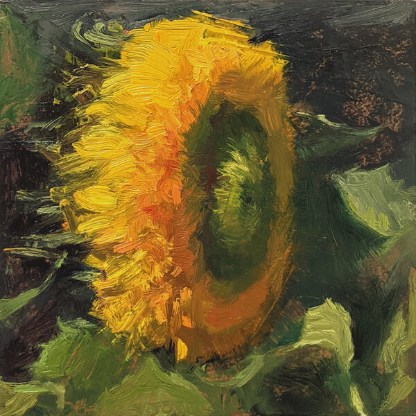 "Sunflower July 31", 2021, oil on panel, 5" x 5"