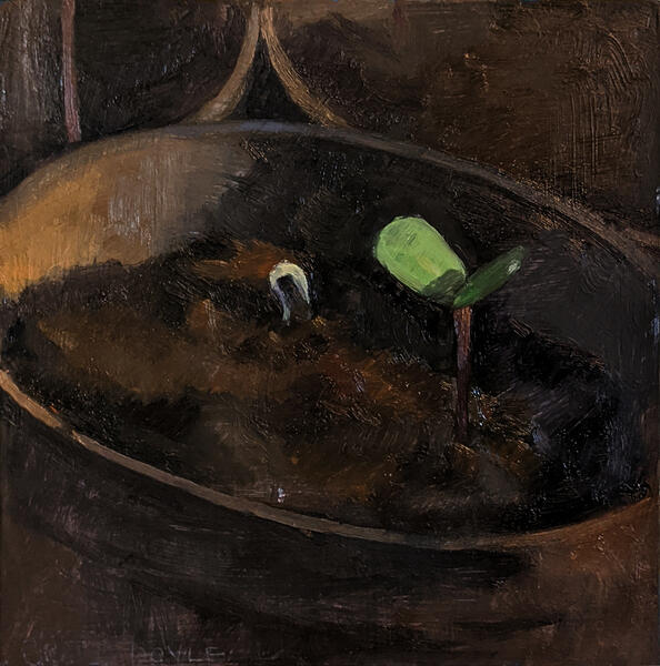 painting of sunflower seedlings