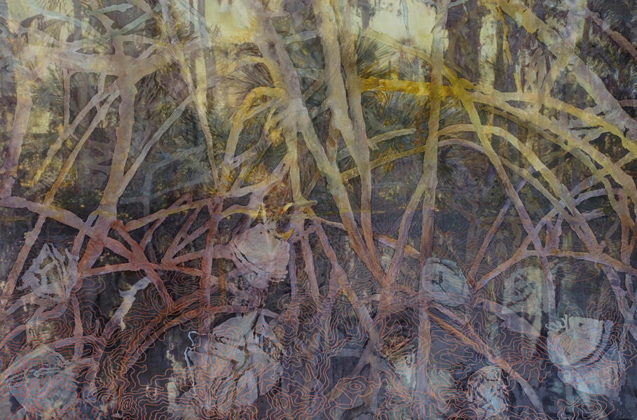 Mangrove Forest, 2017, Watercolor, archival pigment print on paper, framing plexiglas, 31” x 44.75”