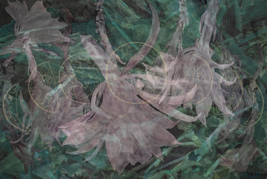 Sido’s Cactus, 2019, Watercolor, Archival Digital Print on paper and Plexiglas, 40” x 26.75”