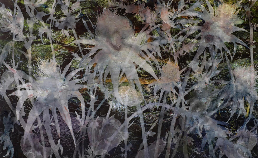 Just Weeds, 2014-15, Watercolor, pencil, archival pigment print on paper, 30” x 45”, While the label weed has negative implications it may simply refer to a wild plant growing in the wrong place some of which become desirable when intentionally c