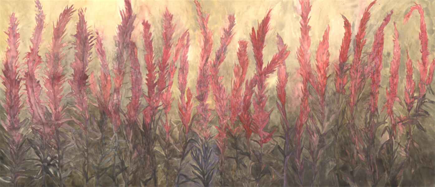 Toxic Beauty Loosestrife, 2003/04, Watercolor, 30” x 70”
